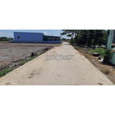 Mua Bán Đất Huyện Bến Lức - Long An Đất 650 M2 Thổ Cư Đường Ô Tô Xã Tân Bửu, 1,4 Tỷ Mua Bán Đất Huyện Bến Lức - Long An Đất 650 M2 Thổ Cư Đường Ô Tô Xã Tân Bửu, 1,4 Tỷ