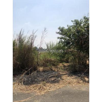 Mua Bán Đất Huyện Cần Đước - Long An Chính Chủ Bán Đất Mặt Tiền Đường 5m, Cách Đt826 30m, Kế Tttm Mua Bán Đất Huyện Cần Đước - Long An Chính Chủ Bán Đất Mặt Tiền Đường 5m, Cách Đt826 30m, Kế Tttm