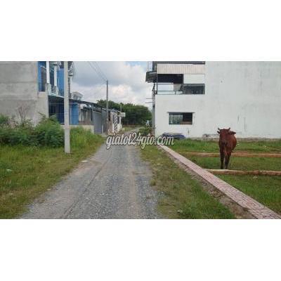 Mua Bán Đất Huyện Đức Hòa - Long An Đất Thổ Cư 4x25m Ngay Chợ Chiều Mua Bán Đất Huyện Đức Hòa - Long An Đất Thổ Cư 4x25m Ngay Chợ Chiều
