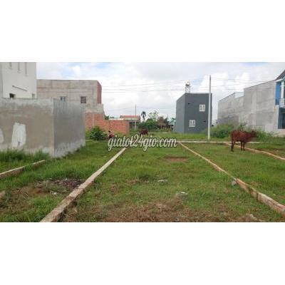 Mua Bán Đất Huyện Đức Hòa - Long An Đất Thổ Cư 4x25m Ngay Chợ Chiều Mua Bán Đất Huyện Đức Hòa - Long An Đất Thổ Cư 4x25m Ngay Chợ Chiều