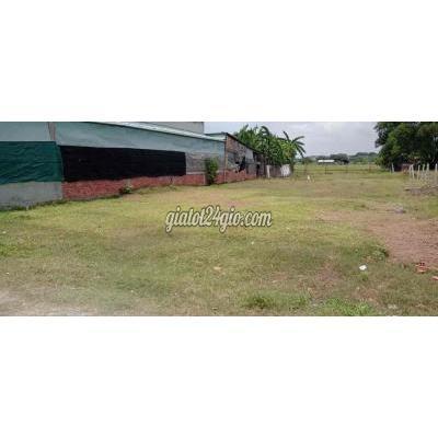 Mua Bán Đất Huyện Đức Hòa - Long An Đất Đẹp Gia Ngộp Tp Đức Hoà Mua Bán Đất Huyện Đức Hòa - Long An Đất Đẹp Gia Ngộp Tp Đức Hoà