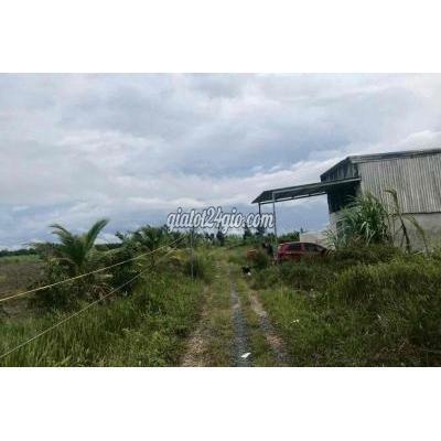 Mua Bán Đất Huyện Thủ Thừa - Long An Bán Đất Vườn 1040m2 Xã Tân Thành, Huyện Thủ Thừa, Long An Mua Bán Đất Huyện Thủ Thừa - Long An Bán Đất Vườn 1040m2 Xã Tân Thành, Huyện Thủ Thừa, Long An