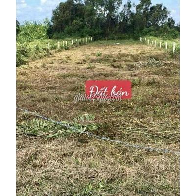 Mua Bán Đất Huyện Thủ Thừa - Long An Bán Đất Vườn 1040m2 Xã Tân Thành, Huyện Thủ Thừa, Long An Mua Bán Đất Huyện Thủ Thừa - Long An Bán Đất Vườn 1040m2 Xã Tân Thành, Huyện Thủ Thừa, Long An