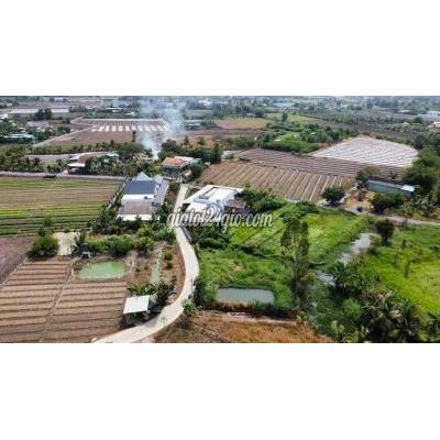 Mua Bán Đất Huyện Cần Giuộc - Long An Nền Lúa Đẹp Đường Gtnt Mua Bán Đất Huyện Cần Giuộc - Long An Nền Lúa Đẹp Đường Gtnt