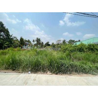 Mua Bán Đất Huyện Cần Giuộc - Long An Nền Thổ Kdc Đông Gần Chợ Rạch Kiến Mua Bán Đất Huyện Cần Giuộc - Long An Nền Thổ Kdc Đông Gần Chợ Rạch Kiến