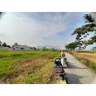 Mua Bán Đất Huyện Tân Trụ - Long An 140m2 Đất Thổ 5x 28m , Liền Kề Kcn An Nhựt Tân, 545 Tr Mua Bán Đất Huyện Tân Trụ - Long An 140m2 Đất Thổ 5x 28m , Liền Kề Kcn An Nhựt Tân, 545 Tr
