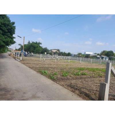 Mua Bán Đất Huyện Cần Giuộc - Long An Hàng F0, 500m2 Đất Vườn 14.5x 33m Đường Xe Tải , Mỹ Lộc , 1.8 Tỷ Mua Bán Đất Huyện Cần Giuộc - Long An Hàng F0, 500m2 Đất Vườn 14.5x 33m Đường Xe Tải , Mỹ Lộc , 1.8 Tỷ