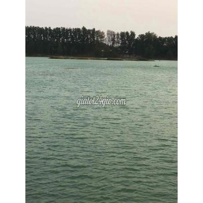 Mua Bán Đất Huyện Đức Hòa - Long An Đất 3000m2, Bàu Công , Đức Hoà Long An Mua Bán Đất Huyện Đức Hòa - Long An Đất 3000m2, Bàu Công , Đức Hoà Long An