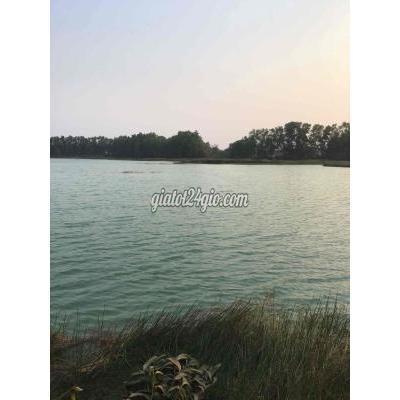 Mua Bán Đất Huyện Đức Hòa - Long An Đất 3000m2, Bàu Công , Đức Hoà Long An Mua Bán Đất Huyện Đức Hòa - Long An Đất 3000m2, Bàu Công , Đức Hoà Long An