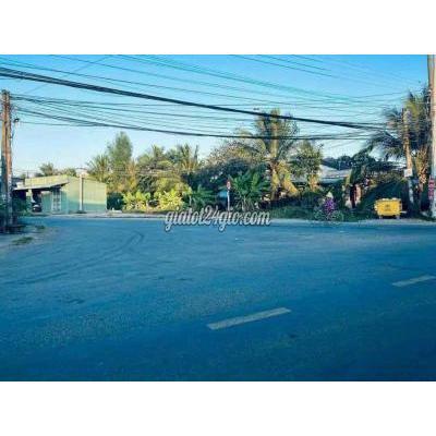 Mua Bán Đất Huyện Thủ Thừa - Long An 1000m2 Vườn Sổ Hiện Đg, Giá Rẻ Nhất Kv Mua Bán Đất Huyện Thủ Thừa - Long An 1000m2 Vườn Sổ Hiện Đg, Giá Rẻ Nhất Kv
