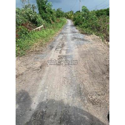 Mua Bán Đất Huyện Bến Lức - Long An Đất Vườn 1000m2 Giá 680tr Đường Ô Tô Điện Nước Đầy Đủ - Bình Đức Mua Bán Đất Huyện Bến Lức - Long An Đất Vườn 1000m2 Giá 680tr Đường Ô Tô Điện Nước Đầy Đủ - Bình Đức