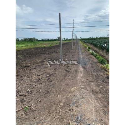 Mua Bán Đất Huyện Bến Lức - Long An Đất Vườn 1000m2 Giá 680tr Đường Ô Tô Điện Nước Đầy Đủ - Bình Đức Mua Bán Đất Huyện Bến Lức - Long An Đất Vườn 1000m2 Giá 680tr Đường Ô Tô Điện Nước Đầy Đủ - Bình Đức