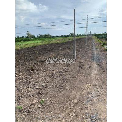 Mua Bán Đất Huyện Bến Lức - Long An Đất Vườn 1000m2 Giá 680tr Đường Ô Tô Điện Nước Đầy Đủ - Bình Đức Mua Bán Đất Huyện Bến Lức - Long An Đất Vườn 1000m2 Giá 680tr Đường Ô Tô Điện Nước Đầy Đủ - Bình Đức