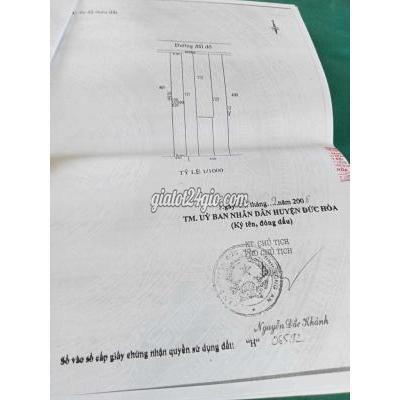 Mua Bán Đất Huyện Đức Hòa - Long An Chỉ 4 Tỷ Đất Shr 8x80 Mt Giồng Lớn..mhn.long An.. Đất Trồng Cây Mua Bán Đất Huyện Đức Hòa - Long An Chỉ 4 Tỷ Đất Shr 8x80 Mt Giồng Lớn..mhn.long An.. Đất Trồng Cây