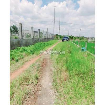 Mua Bán Đất Huyện Tân Trụ - Long An Đất Vườn Chuyển Thổ 500m2 ( 14x 36m) Kdc An Lái 750 Triệu