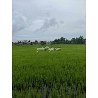Mua Bán Đất Huyện Cần Đước - Long An Thanh Lý Đất Thổ Cư Sổ Riêng Điện Em Liền Mua Bán Đất Huyện Cần Đước - Long An Thanh Lý Đất Thổ Cư Sổ Riêng Điện Em Liền