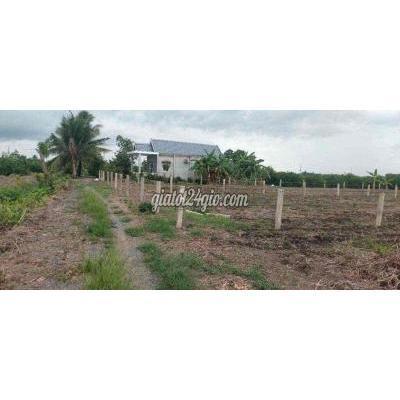 Mua Bán Đất Huyện Bến Lức - Long An 1000m2 Đất Vườn Giá 720tr Đường Ô Tô Mua Bán Đất Huyện Bến Lức - Long An 1000m2 Đất Vườn Giá 720tr Đường Ô Tô