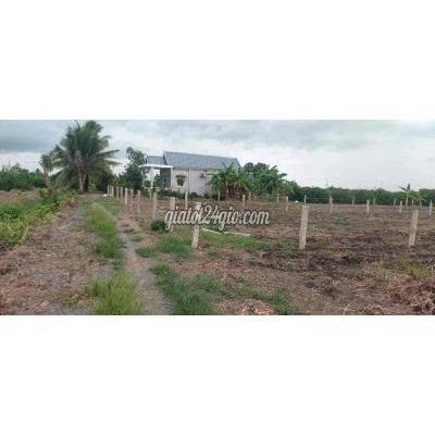 Mua Bán Đất Huyện Bến Lức - Long An 1000m2 Đất Vườn Giá 720tr Đường Ô Tô Mua Bán Đất Huyện Bến Lức - Long An 1000m2 Đất Vườn Giá 720tr Đường Ô Tô