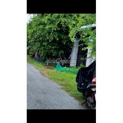 Mua Bán Đất Huyện Đức Hòa - Long An Đất Thổ Cư 2 Mặt Tiền Mua Bán Đất Huyện Đức Hòa - Long An Đất Thổ Cư 2 Mặt Tiền