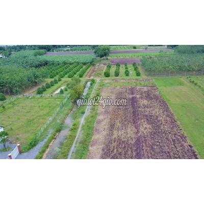 Mua Bán Đất Huyện Trảng Bàng - Tây Ninh 10*33m2 Luk-giá Rẻ1,6tr/m2-cặp Hông Kcn Phước Đông Mua Bán Đất Huyện Trảng Bàng - Tây Ninh 10*33m2 Luk-giá Rẻ1,6tr/m2-cặp Hông Kcn Phước Đông