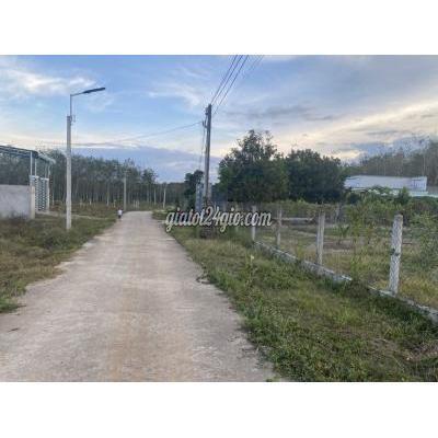 Mua Bán Đất Huyện Gò Dầu - Tây Ninh Bán Lô Đất Dt:5x47m Nằm Trong Khu Đông Dân Cư Tại Hiệp Thạnh - Gò Dầu Mua Bán Đất Huyện Gò Dầu - Tây Ninh Bán Lô Đất Dt:5x47m Nằm Trong Khu Đông Dân Cư Tại Hiệp Thạnh - Gò Dầu