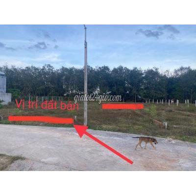 Mua Bán Đất Huyện Gò Dầu - Tây Ninh Bán Lô Đất Dt:5x47m Nằm Trong Khu Đông Dân Cư Tại Hiệp Thạnh - Gò Dầu Mua Bán Đất Huyện Gò Dầu - Tây Ninh Bán Lô Đất Dt:5x47m Nằm Trong Khu Đông Dân Cư Tại Hiệp Thạnh - Gò Dầu