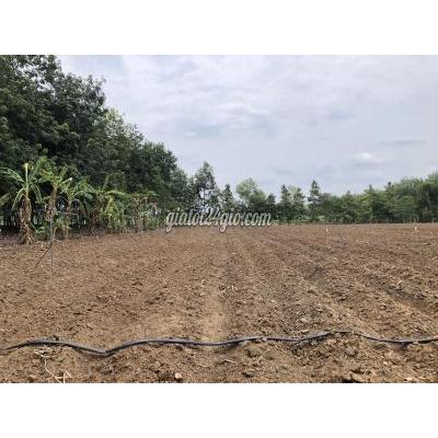 Mua Bán Đất Huyện Châu Thành - Tây Ninh Gấp! Gấp Lắm! Gấp Lắm Rồi! Hơn 3 Sào Đất Nông Nghiệp Chỉ 398 Nghìn/m2 Mua Bán Đất Huyện Châu Thành - Tây Ninh Gấp! Gấp Lắm! Gấp Lắm Rồi! Hơn 3 Sào Đất Nông Nghiệp Chỉ 398 Nghìn/m2