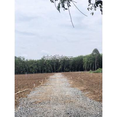 Mua Bán Đất Huyện Châu Thành - Tây Ninh Gấp! Gấp Lắm! Gấp Lắm Rồi! Hơn 3 Sào Đất Nông Nghiệp Chỉ 398 Nghìn/m2 Mua Bán Đất Huyện Châu Thành - Tây Ninh Gấp! Gấp Lắm! Gấp Lắm Rồi! Hơn 3 Sào Đất Nông Nghiệp Chỉ 398 Nghìn/m2