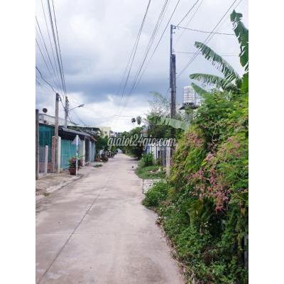 Mua Bán Đất Huyện Hòa Thành - Tây Ninh Đất Thổ Cư Ngay Cửa Số 3 Chùa Tòa Thánh, Tây Ninh Mua Bán Đất Huyện Hòa Thành - Tây Ninh Đất Thổ Cư Ngay Cửa Số 3 Chùa Tòa Thánh, Tây Ninh