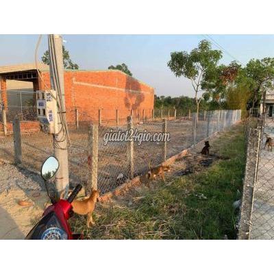 Mua Bán Đất Huyện Hòa Thành - Tây Ninh Đất Thổ Cư 300m2 Thị Xã Hoà Thành, Cách Chợ Long Hoa 2km Mua Bán Đất Huyện Hòa Thành - Tây Ninh Đất Thổ Cư 300m2 Thị Xã Hoà Thành, Cách Chợ Long Hoa 2km