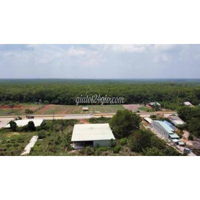 Mua Bán Đất Huyện Tân Châu - Tây Ninh Đất Thổ Cư 243m2 Đường Dt 794 Tây Ninh Mua Bán Đất Huyện Tân Châu - Tây Ninh Đất Thổ Cư 243m2 Đường Dt 794 Tây Ninh