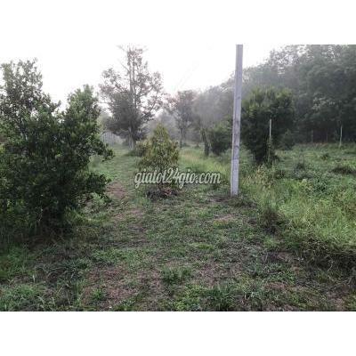 Mua Bán Đất Huyện Dương Minh Châu - Tây Ninh 5 Công 2 , Vườn Sầu Riêng Măng Cut Chôm Chôm Tăc Mua Bán Đất Huyện Dương Minh Châu - Tây Ninh 5 Công 2 , Vườn Sầu Riêng Măng Cut Chôm Chôm Tăc