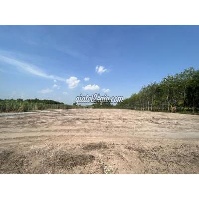 Mua Bán Đất Huyện Gò Dầu - Tây Ninh Đất Chính Chủ Vừa Ra Giấy Tờ Cần Bán Ngay Mua Bán Đất Huyện Gò Dầu - Tây Ninh Đất Chính Chủ Vừa Ra Giấy Tờ Cần Bán Ngay