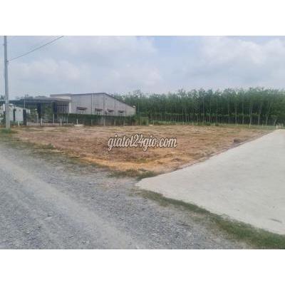 Mua Bán Đất Huyện Gò Dầu - Tây Ninh Đất Cạnh Kcn Phước Đông 143m2 Full Thổ Cư,sổ Sẵn.có Ngân Hàng Hỗ Trợ. Mua Bán Đất Huyện Gò Dầu - Tây Ninh Đất Cạnh Kcn Phước Đông 143m2 Full Thổ Cư,sổ Sẵn.có Ngân Hàng Hỗ Trợ.