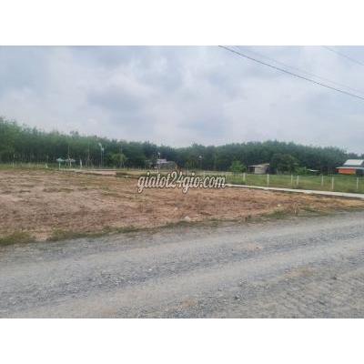 Mua Bán Đất Huyện Gò Dầu - Tây Ninh Đất Cạnh Kcn Phước Đông 143m2 Full Thổ Cư,sổ Sẵn.có Ngân Hàng Hỗ Trợ. Mua Bán Đất Huyện Gò Dầu - Tây Ninh Đất Cạnh Kcn Phước Đông 143m2 Full Thổ Cư,sổ Sẵn.có Ngân Hàng Hỗ Trợ.