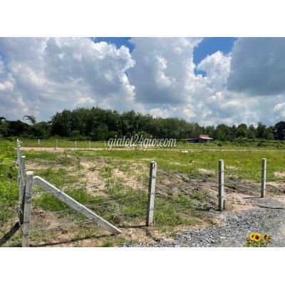 Mua Bán Đất Huyện Gò Dầu - Tây Ninh 5x30. 150m2 Full Thổ. 4xx Tr.mua Nhanh Mua Bán Đất Huyện Gò Dầu - Tây Ninh 5x30. 150m2 Full Thổ. 4xx Tr.mua Nhanh