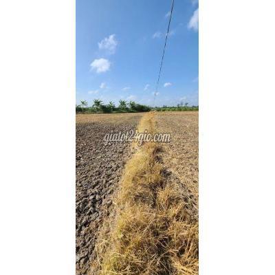 Mua Bán Đất Huyện Gò Công Tây - Tiền Giang Đất Đồng Sơn Kênh Rạch Kiến Mua Bán Đất Huyện Gò Công Tây - Tiền Giang Đất Đồng Sơn Kênh Rạch Kiến