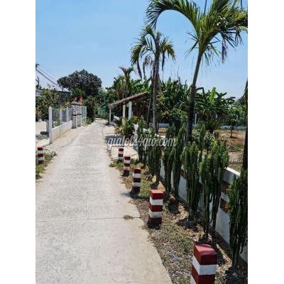 Mua Bán Đất Thị Xã Gò Công - Tiền Giang Thổ Cư View Sông 629 M2 Mua Bán Đất Thị Xã Gò Công - Tiền Giang Thổ Cư View Sông 629 M2
