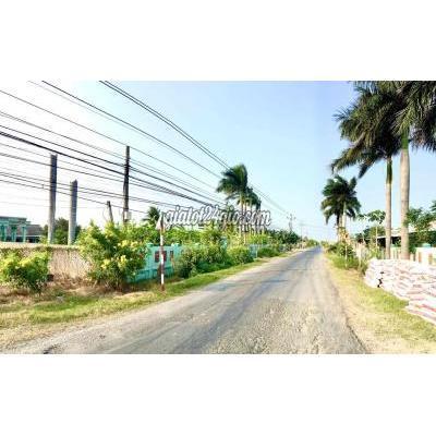 Mua Bán Đất Huyện Gò Công Đông - Tiền Giang Vườn Nhãn Có Nhà Nghỉ Dưỡng Ngay Kdl Biển Tân Thành Mua Bán Đất Huyện Gò Công Đông - Tiền Giang Vườn Nhãn Có Nhà Nghỉ Dưỡng Ngay Kdl Biển Tân Thành