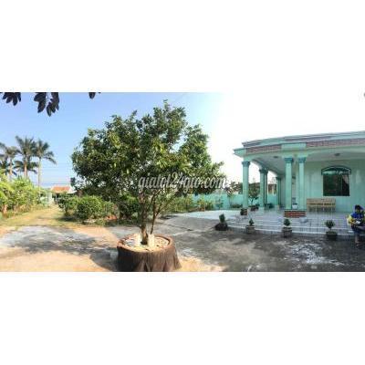 Mua Bán Đất Huyện Gò Công Đông - Tiền Giang Vườn Nhãn Có Nhà Nghỉ Dưỡng Ngay Kdl Biển Tân Thành Mua Bán Đất Huyện Gò Công Đông - Tiền Giang Vườn Nhãn Có Nhà Nghỉ Dưỡng Ngay Kdl Biển Tân Thành