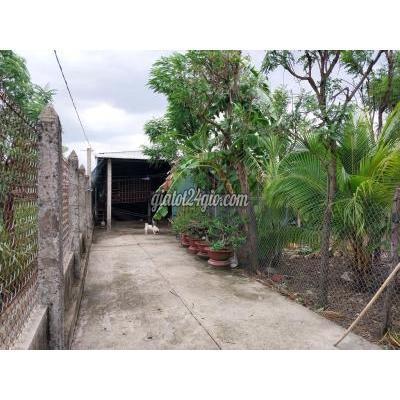 Mua Bán Đất Huyện Gò Công Đông - Tiền Giang Bán Đất 1.534m, Gồm Trang Trại,vườn, Ao Bình Nghị, Gò Công,tiền Giang Mua Bán Đất Huyện Gò Công Đông - Tiền Giang Bán Đất 1.534m, Gồm Trang Trại,vườn, Ao Bình Nghị, Gò Công,tiền Giang