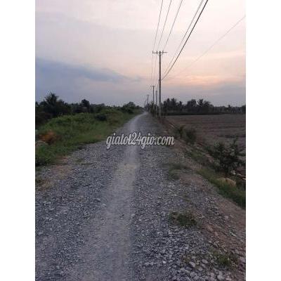 Mua Bán Đất Huyện Bình Chánh - Hồ Chí Minh 1.000m2 Mặt Tiền Kênh Độc Lập Bình Lợi Mua Bán Đất Huyện Bình Chánh - Hồ Chí Minh 1.000m2 Mặt Tiền Kênh Độc Lập Bình Lợi