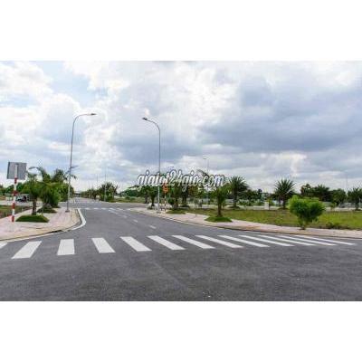 Mua Bán Đất Quận 8 - Hồ Chí Minh Bán Gấp Lô Đất Kdc Phú Lợi Phạm Thế Hiển Q8 Shr Mua Bán Đất Quận 8 - Hồ Chí Minh Bán Gấp Lô Đất Kdc Phú Lợi Phạm Thế Hiển Q8 Shr