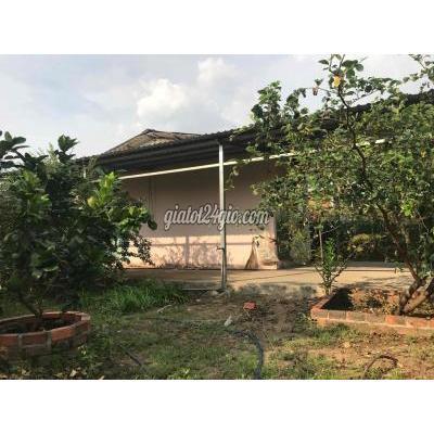 Mua Bán Đất Huyện Củ Chi - Hồ Chí Minh Nhà Vườn Mặt Tiền Kênh 30x40 Cách Vđ3 800m Mua Bán Đất Huyện Củ Chi - Hồ Chí Minh Nhà Vườn Mặt Tiền Kênh 30x40 Cách Vđ3 800m