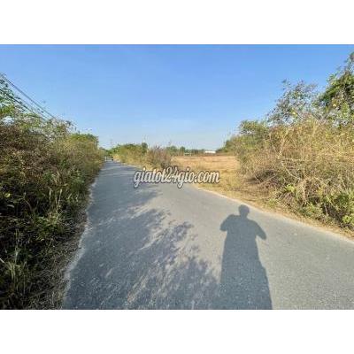Mua Bán Đất Huyện Củ Chi - Hồ Chí Minh Chính Chủ Gửi Đất Bàu Lách 2337m2 250tc. Giá Rẻ. Mua Bán Đất Huyện Củ Chi - Hồ Chí Minh Chính Chủ Gửi Đất Bàu Lách 2337m2 250tc. Giá Rẻ.