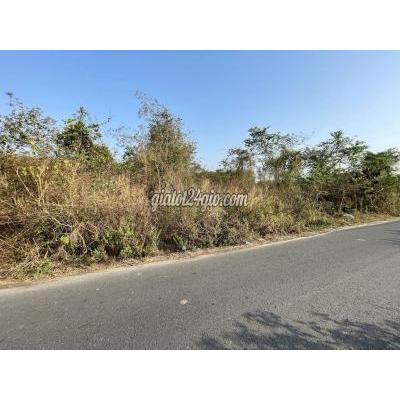 Mua Bán Đất Huyện Củ Chi - Hồ Chí Minh Chính Chủ Gửi Đất Bàu Lách 2337m2 250tc. Giá Rẻ. Mua Bán Đất Huyện Củ Chi - Hồ Chí Minh Chính Chủ Gửi Đất Bàu Lách 2337m2 250tc. Giá Rẻ.