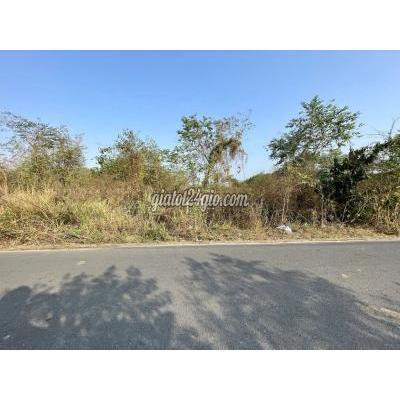 Mua Bán Đất Huyện Củ Chi - Hồ Chí Minh Chính Chủ Gửi Đất Bàu Lách 2337m2 250tc. Giá Rẻ. Mua Bán Đất Huyện Củ Chi - Hồ Chí Minh Chính Chủ Gửi Đất Bàu Lách 2337m2 250tc. Giá Rẻ.