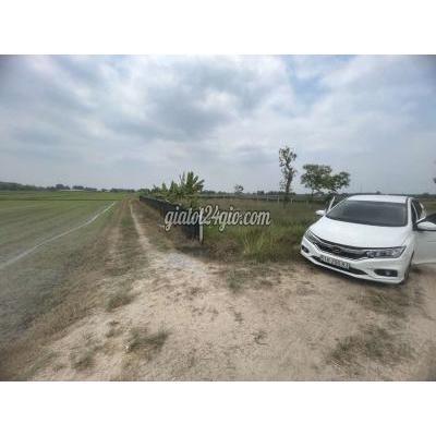 Mua Bán Đất Huyện Củ Chi - Hồ Chí Minh Giảm Giá Mảnh Vườn Đẹp 500m2 (chiều Ngang 20m, Dài 26m) Mua Bán Đất Huyện Củ Chi - Hồ Chí Minh Giảm Giá Mảnh Vườn Đẹp 500m2 (chiều Ngang 20m, Dài 26m)