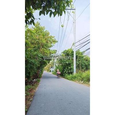 Mua Bán Đất Thành Phố Thủ Đức - Hồ Chí Minh Bán 1075m2 Đất Thổ Cư, 2mt (30m - 36m) Đẹp, Rẻ! Mua Bán Đất Thành Phố Thủ Đức - Hồ Chí Minh Bán 1075m2 Đất Thổ Cư, 2mt (30m - 36m) Đẹp, Rẻ!