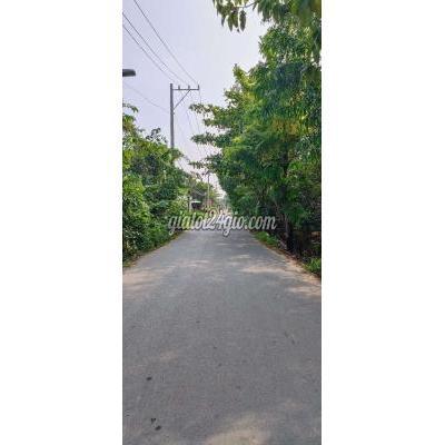 Mua Bán Đất Thành Phố Thủ Đức - Hồ Chí Minh Bán 1075m2 Đất Thổ Cư, 2mt (30m - 36m) Đẹp, Rẻ! Mua Bán Đất Thành Phố Thủ Đức - Hồ Chí Minh Bán 1075m2 Đất Thổ Cư, 2mt (30m - 36m) Đẹp, Rẻ!